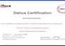 provide remote technical support for cctv hikvision and dahua systems